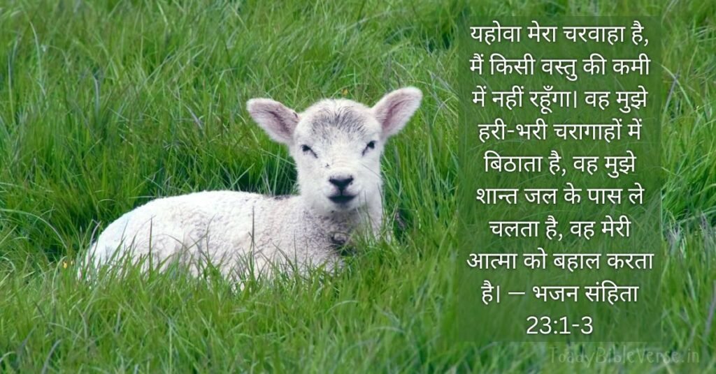 Bible Verses in Hindi, Bible Verse meaning in Hindi, Bible teachings in Hindi, bible Vachan, bible Vachan image, Bible Vachan in Hindi, bible Vachan in Hindi image, scripture meaning in Hindi, Hindi bible Vachan image, Jesus Bible Vachan in Hindi, Bible meaning in Hindi, bible in Hindi, Bible in Hindi meaning, Bible in Hindi, बाइबल वचन का अर्थ, बाइबल की आयतें हिंदी में,भजन संहिता 23:1-3, भजन संहिता 23:1-3 का अर्थ, Psalm 23-1-3, Psalm 23:1-3 meaning in Hindi,