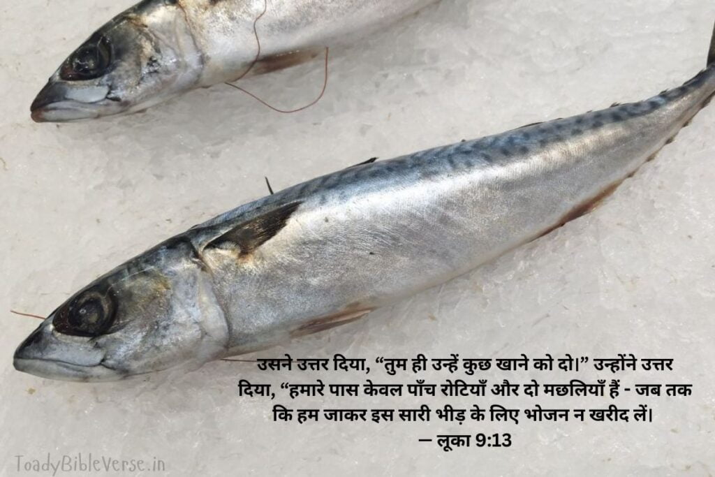 today bible verse in hindi, aaj ka bible vachan, आज का पवित्र बाइबल वचन, आज का बाइबल वचन, आज का वचन, bible verse for today in hindi, bible verses in hindi for today, daily bible verse in hindi, today verse in hindi, today's bible verse in hindi, aaj ka bible vachan in hindi, today bible vachan in hindi, today bible verse hindi, bible verses in hindi, hindi bible verses, bible verse for today hindi, bible verses meaning in hindi, aaj ka vachan bible in hindi, today's bible verse hindi, bible verse hindi, today bible verses in hindi, hindi bible vachan image, bible vachan, jesus vachan, bible vachan in hindi, बाइबल वचन, jesus vachan hindi, bible ke vachan, bible verses hindi, बाईबल वर्स फॉर टुडे, today bible vachan, hindi bible, bible ka vachan, hindi bible verse for today, jesus vachan in hindi, hindi vachan, hindi bible verse, bible quotes in hindi, यीशु मसीह के पवित्र वचन, लूका 9:13, Luke 9-13, Luke 9:13 in Hindi, अनुयायी, सेवा, यीशु, बुलावा,