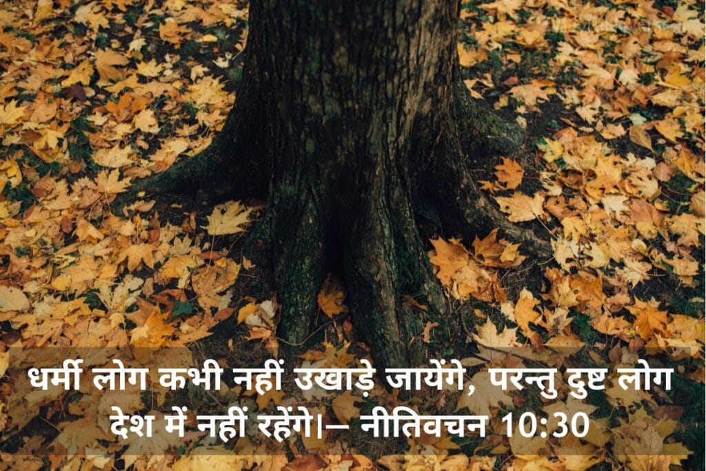 आज का पवित्र बाइबल वचन, bible verses in Hindi, today bible verse in Hindi, bible Vachan, aaj ka bible Vachan, bible verses in Hindi for today, bible verse for today in Hindi, bible vachan in hindi, hindi bible verses, बाइबल वचन, today's bible verse in hindi, jesus vachan hindi, today bible reading in hindi, bible verse in hindi, aaj ka vachan, bible verses hindi, bible verse hindi, aaj ka bible vachan in hindi, today bible vachan in hindi, bible vachan hindi, पवित्र बाइबल वचन, bible verses meaning in hindi, today bible vachan, bible verse for today hindi, hindi bible verse, aaj ka vachan bible in hindi, daily bible verse in hindi, बाइबल वचन इन हिंदी, यीशु मसीह के पवित्र वचन, बाईबल वर्स फॉर टुडे, आज का बाइबल वचन, bible verses in hindi today, aaj ka pavitra vachan, hindi bible vachan image, holy bible verses in hindi,Proverbs meaning in hindi, नीतिवचन 10:30, Proverbs 10:30, Proverbs 10-30, धर्मी, स्थायित्व, दुष्ट, नाश, नीतिवचन,